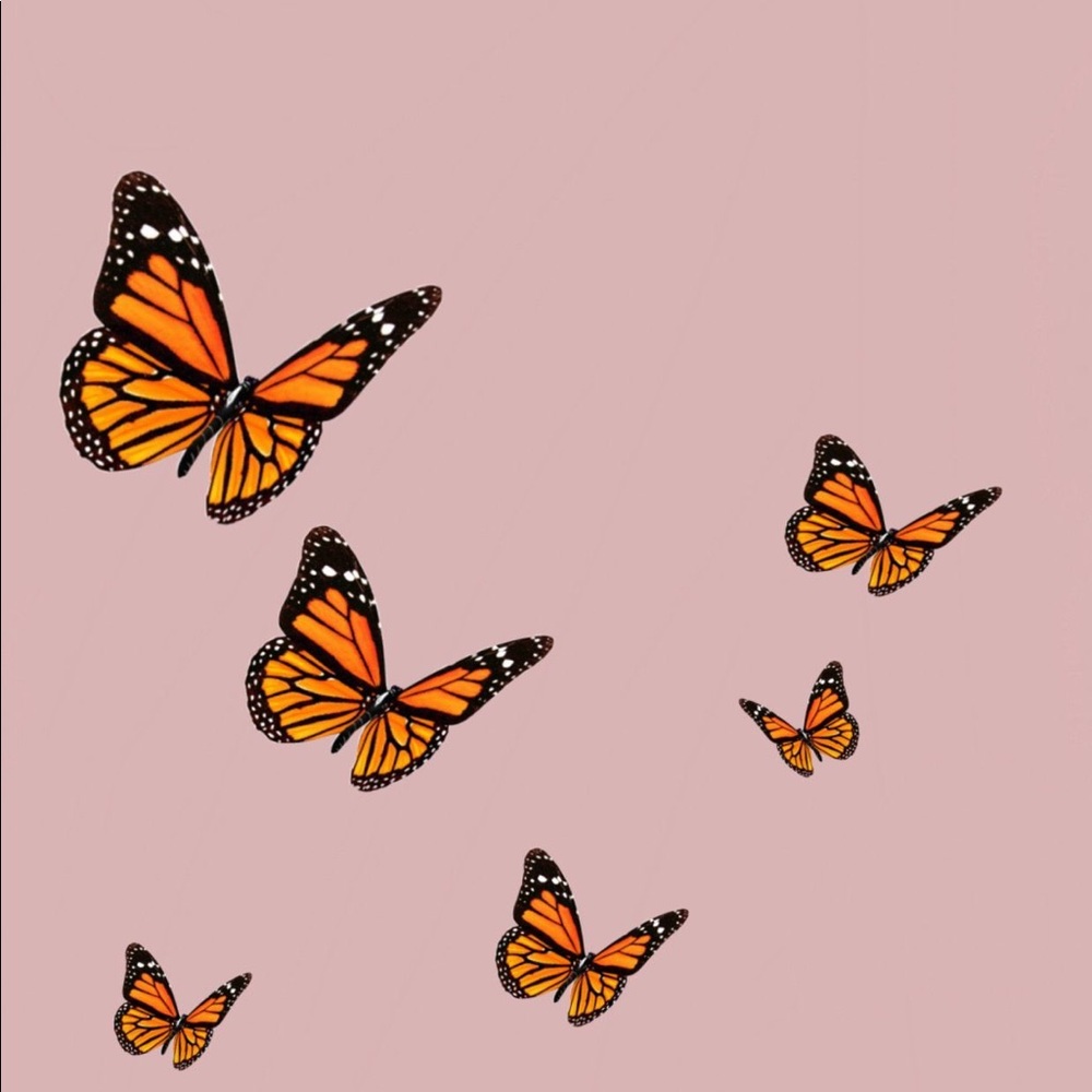 Meet your Posher, Freya